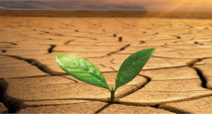 GreenDiol &ndash; The Hardest Working Natural Polyol You Need